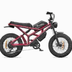 new electric bikes dealer