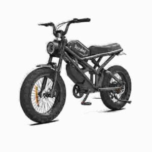 pedal electric bike dealer