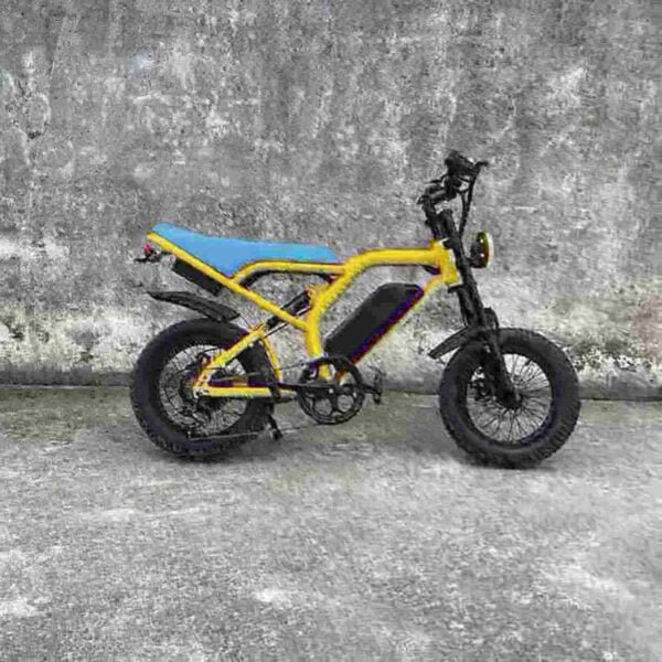 three wheel electric bike dealer