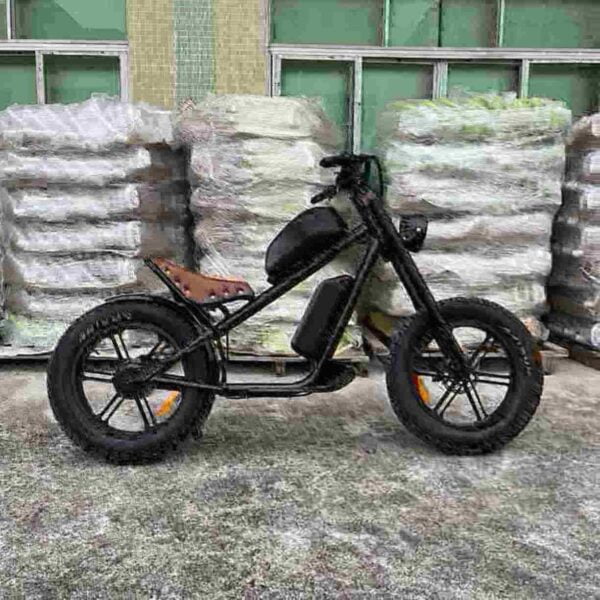 wuxing electric bike dealer